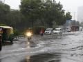 Delhi records wettest January since 1901 - Hindi News | Delhi records wettest January since 1901 | Latest national News at Lokmattimes.com