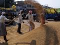 741.62 LMT paddy procured till March 27: Govt - Hindi News | 741.62 LMT paddy procured till March 27: Govt | Latest politics News at Lokmattimes.com