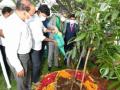 CJI participates in Green India programme in Hyderabad - Hindi News | CJI participates in Green India programme in Hyderabad | Latest international News at Lokmattimes.com