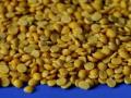 India to import 10 lakh tonnes of tur dal to offset possible production shortfall - Hindi News | India to import 10 lakh tonnes of tur dal to offset possible production shortfall | Latest politics News at Lokmattimes.com