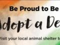 PETA India's campaign for adopting Indian dogs - Hindi News | PETA India's campaign for adopting Indian dogs | Latest international News at Lokmattimes.com