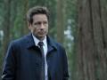 David Duchovny says scientologists tried to recruit him - Hindi News | David Duchovny says scientologists tried to recruit him | Latest entertainment News at Lokmattimes.com