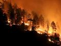 California wildfires: State's largest utility to shut off power to 9,40,000 customers - Hindi News | California wildfires: State's largest utility to shut off power to 9,40,000 customers | Latest international News at Lokmattimes.com