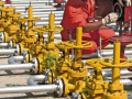 Uninterrupted CNG and PNG supply continuing for users, no gas shortage: Govt - Hindi News | Uninterrupted CNG and PNG supply continuing for users, no gas shortage: Govt | Latest business News at Lokmattimes.com