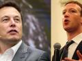 Musk planned to reach Zuckerberg's home for fight, Meta CEO is not home - Hindi News | Musk planned to reach Zuckerberg's home for fight, Meta CEO is not home | Latest technology News at Lokmattimes.com