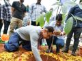 Aamir Khan takes part in 'Green India Challenge' - Hindi News | Aamir Khan takes part in 'Green India Challenge' | Latest entertainment News at Lokmattimes.com