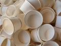 Paper cups as toxic as plastic ones when end up in nature: Study - Hindi News | Paper cups as toxic as plastic ones when end up in nature: Study | Latest international News at Lokmattimes.com