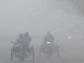 Dense fog continues on 4th day, affects visibility in several areas - Hindi News | Dense fog continues on 4th day, affects visibility in several areas | Latest national News at Lokmattimes.com