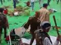 Farmers vandalise Karnal venue ahead of Khattar's arrival - Hindi News | Farmers vandalise Karnal venue ahead of Khattar's arrival | Latest politics News at Lokmattimes.com