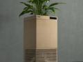 Indian scientists develop plant-based air purifier - Hindi News | Indian scientists develop plant-based air purifier | Latest technology News at Lokmattimes.com