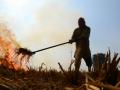 UP to impose fine for stubble burning - Hindi News | UP to impose fine for stubble burning | Latest politics News at Lokmattimes.com