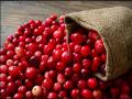 Study: Consuming cranberries enhances memory, curbs bad cholestrol - Hindi News | Study: Consuming cranberries enhances memory, curbs bad cholestrol | Latest health News at Lokmattimes.com