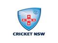 Cricket NSW appoints Greg Mail as Head of Cricket - Hindi News | Cricket NSW appoints Greg Mail as Head of Cricket | Latest cricket News at Lokmattimes.com