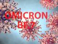 TN health department issues alert against new Omicron variant BF.7 - Hindi News | TN health department issues alert against new Omicron variant BF.7 | Latest health News at Lokmattimes.com