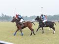 Polo gets an arena on grass format - Hindi News | Polo gets an arena on grass format | Latest national News at Lokmattimes.com