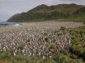 Australia govt decides to triple size of Macquarie Island Marine Park - Hindi News | Australia govt decides to triple size of Macquarie Island Marine Park | Latest international News at Lokmattimes.com