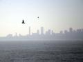 Mumbai air quality improves, expected to be fresher on weekend - Hindi News | Mumbai air quality improves, expected to be fresher on weekend | Latest national News at Lokmattimes.com