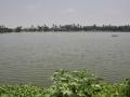 TN to notify 17 water bodies as wetlands - Hindi News | TN to notify 17 water bodies as wetlands | Latest international News at Lokmattimes.com