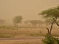 Massive dust storm heading towards Gujarat, south Rajasthan - Hindi News | Massive dust storm heading towards Gujarat, south Rajasthan | Latest national News at Lokmattimes.com