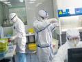 Amateur investigators claim to break Wuhan lab secrets - Hindi News | Amateur investigators claim to break Wuhan lab secrets | Latest health News at Lokmattimes.com