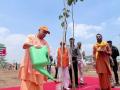 Yogi launches mega tree plantation drive in UP - Hindi News | Yogi launches mega tree plantation drive in UP | Latest politics News at Lokmattimes.com