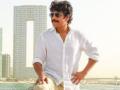 Nagarjuna on 'PS-1': Mani Ratnam has proven what a master craftsman he always was - Hindi News | Nagarjuna on 'PS-1': Mani Ratnam has proven what a master craftsman he always was | Latest entertainment News at Lokmattimes.com