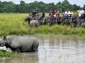 Elephant, jeep safaris at Kaziranga to close for tourists from May - Hindi News | Elephant, jeep safaris at Kaziranga to close for tourists from May | Latest national News at Lokmattimes.com