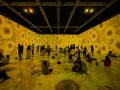Van Gogh 360° Delhi extended till May 31 - Hindi News | Van Gogh 360° Delhi extended till May 31 | Latest lifestyle News at Lokmattimes.com
