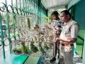 Two held with 55 parrots in WB's Siliguri - Hindi News | Two held with 55 parrots in WB's Siliguri | Latest national News at Lokmattimes.com