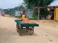 Man carries pregnant wife to hospital on pushing cart in MP's Damoh - Hindi News | Man carries pregnant wife to hospital on pushing cart in MP's Damoh | Latest national News at Lokmattimes.com
