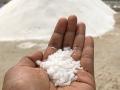 TN to increase salt production - Hindi News | TN to increase salt production | Latest international News at Lokmattimes.com