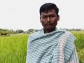 West Bengal farmers allege Rs 100 crore fraud in NHAI compensation - Hindi News | West Bengal farmers allege Rs 100 crore fraud in NHAI compensation | Latest national News at Lokmattimes.com