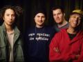 Rage Against the Machine raises $1 mn for charity through Madison Square Garden residency - Hindi News | Rage Against the Machine raises $1 mn for charity through Madison Square Garden residency | Latest entertainment News at Lokmattimes.com