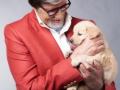 Big B mourns passing of pet golden retriever - Hindi News | Big B mourns passing of pet golden retriever | Latest entertainment News at Lokmattimes.com