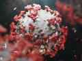 Study explains why Omicron variants continue to spread - Hindi News | Study explains why Omicron variants continue to spread | Latest international News at Lokmattimes.com