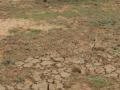 Drought: The new global calamity? (Opinion) - Hindi News | Drought: The new global calamity? (Opinion) | Latest international News at Lokmattimes.com
