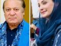 Maryam Nawaz's elevation furthers Sharif political dynasty in Pakistan - Hindi News | Maryam Nawaz's elevation furthers Sharif political dynasty in Pakistan | Latest international News at Lokmattimes.com
