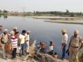 Industrial effluent, sewage used to brew illicit liquor in Punjab! - Hindi News | Industrial effluent, sewage used to brew illicit liquor in Punjab! | Latest health News at Lokmattimes.com