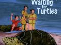 'Waiting for Turtles', new book on Andaman Islands - Hindi News | 'Waiting for Turtles', new book on Andaman Islands | Latest international News at Lokmattimes.com