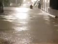 18 killed in Mumbai rain-related incidents - Hindi News | 18 killed in Mumbai rain-related incidents | Latest international News at Lokmattimes.com