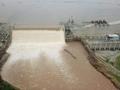 Sudan appeals AU to play bigger role in Nile dam talks - Hindi News | Sudan appeals AU to play bigger role in Nile dam talks | Latest international News at Lokmattimes.com