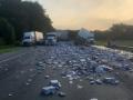 Beer spill blocks Florida highway - Hindi News | Beer spill blocks Florida highway | Latest international News at Lokmattimes.com