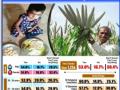 IANS-CVoter National Mood Tracker: Majority Indians think celebrating 2023 as Int'l Year of Millets will increase awareness about nutritious cereals - Hindi News | IANS-CVoter National Mood Tracker: Majority Indians think celebrating 2023 as Int'l Year of Millets will increase awareness about nutritious cereals | Latest national News at Lokmattimes.com