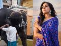 Actress Rashmi Gautam urges people to say no to animal rides, captivity - Hindi News | Actress Rashmi Gautam urges people to say no to animal rides, captivity | Latest entertainment News at Lokmattimes.com