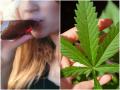 Adolescent marijuana, alcohol use didn't decline much during coronavirus pandemic: Survey - Hindi News | Adolescent marijuana, alcohol use didn't decline much during coronavirus pandemic: Survey | Latest lifestyle News at Lokmattimes.com