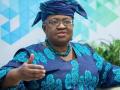 WTO appoints Ngozi Okonjo-Iweala as new director-general - Hindi News | WTO appoints Ngozi Okonjo-Iweala as new director-general | Latest international News at Lokmattimes.com