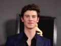 Shawn Mendes to voice 'Lyle, Lyle, Crocodile' for Sony - Hindi News | Shawn Mendes to voice 'Lyle, Lyle, Crocodile' for Sony | Latest entertainment News at Lokmattimes.com