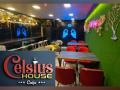 Celsius House steps forward to pamper the food junkies with quality food - Hindi News | Celsius House steps forward to pamper the food junkies with quality food | Latest business News at Lokmattimes.com