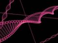 Study suggests gene variants increase risk of Addison's disease - Hindi News | Study suggests gene variants increase risk of Addison's disease | Latest technology News at Lokmattimes.com