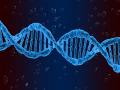 Researchers identify key RNA 'gatekeeper' in gene expression, suggesting possible new drug targets - Hindi News | Researchers identify key RNA 'gatekeeper' in gene expression, suggesting possible new drug targets | Latest technology News at Lokmattimes.com